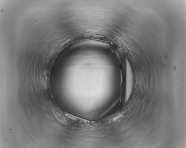 X0000088910868200706291527