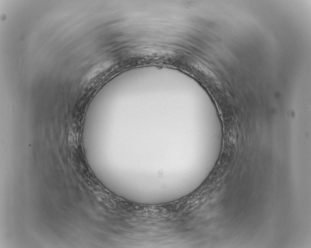 X0000088910869200706291527