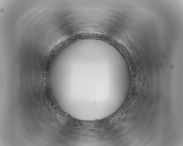 X0000088910870200706291527