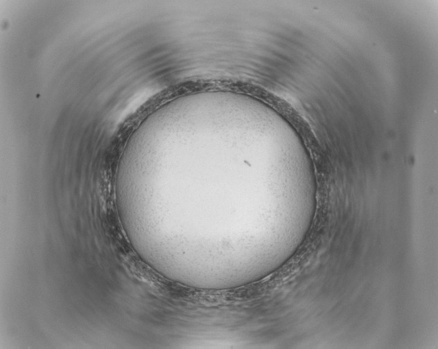 X0000088910871200706291527