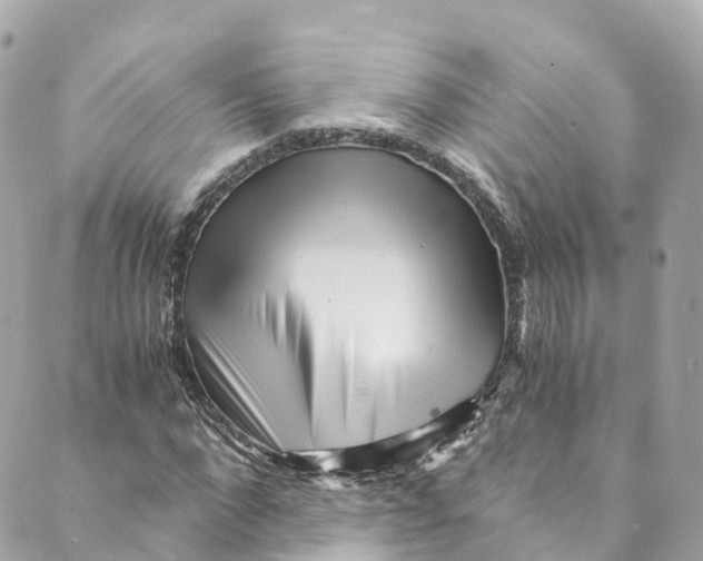 X0000088910872200706291527