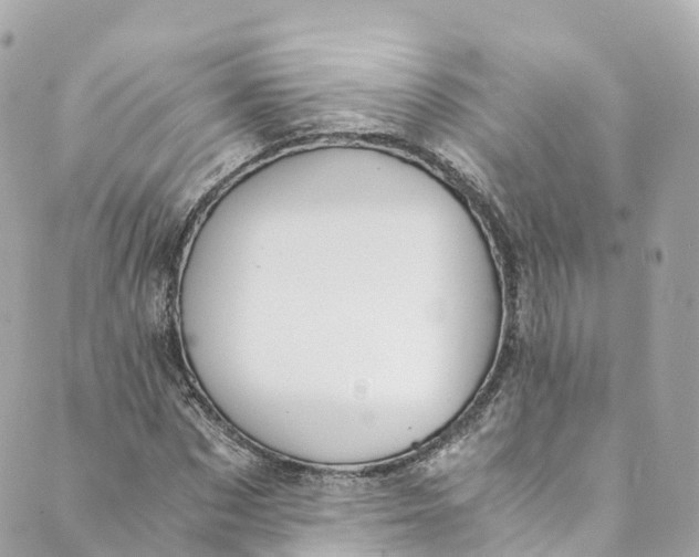 X0000088910873200706291527