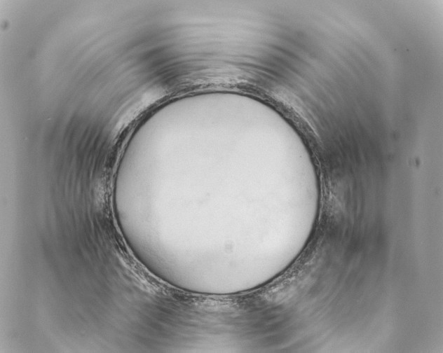 X0000088910874200706291527