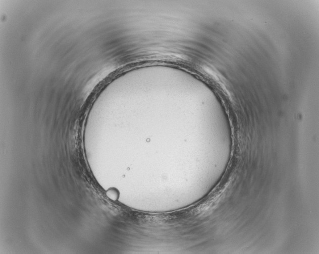 X0000088910875200706291527