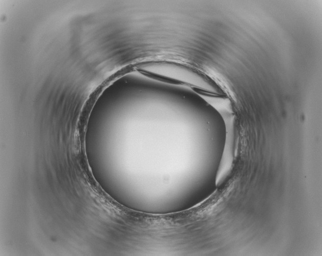 X0000088910876200706291527