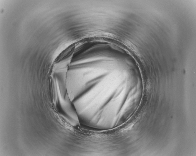 X0000088910877200706291527