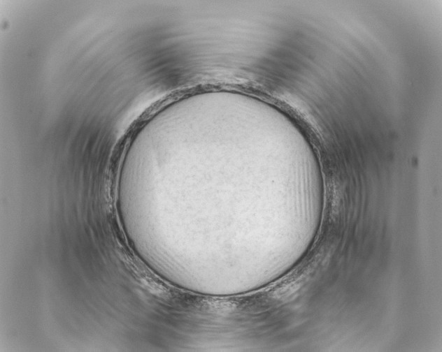 X0000088910878200706291527