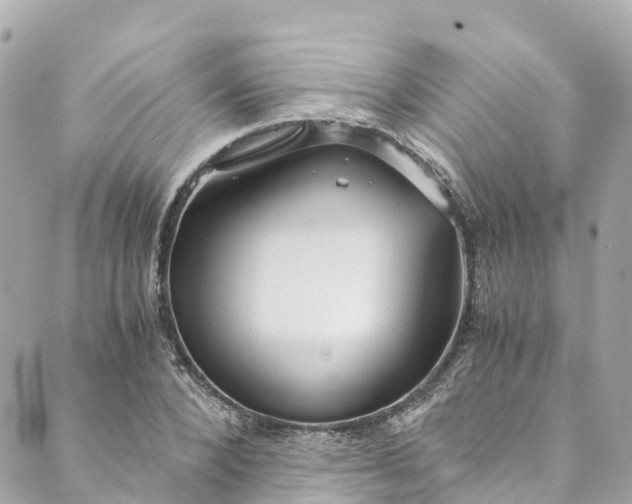 X0000088910880200706291527