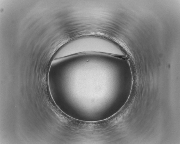 X0000088910881200706291527