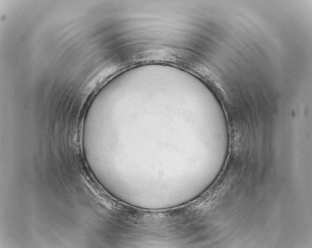 X0000088910882200706291527