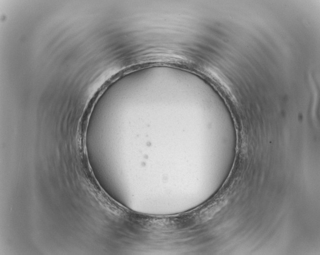 X0000088910883200706291527