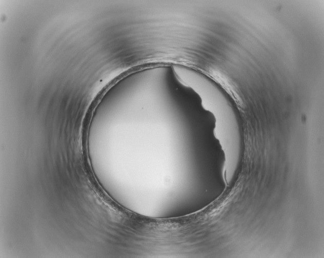 X0000088910884200706291527