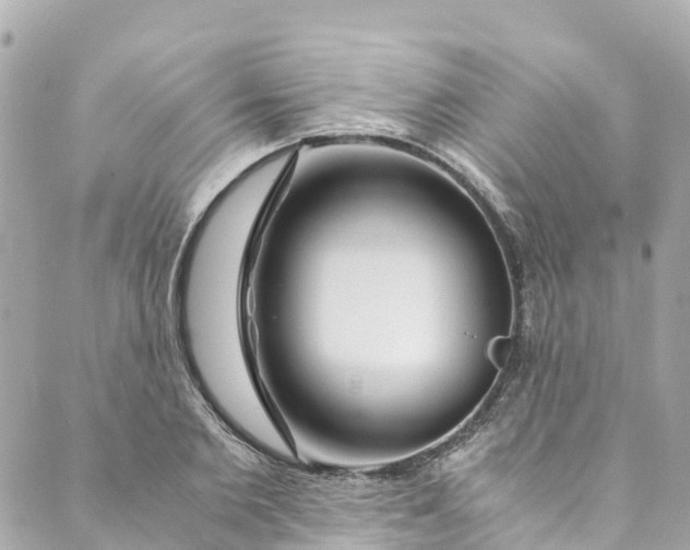 X0000088910885200706291527