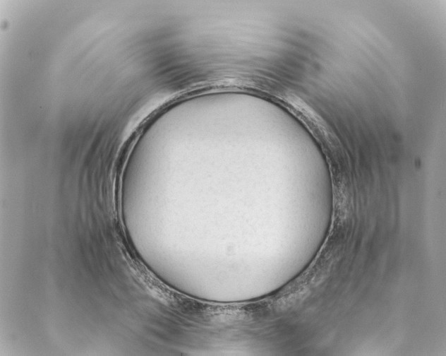 X0000088910886200706291527