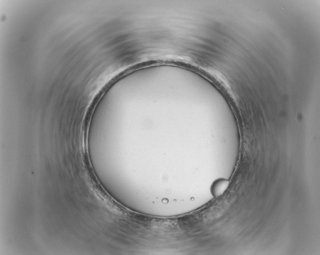 X0000088910887200706291527