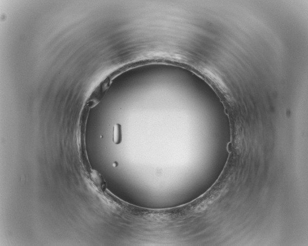 X0000088910888200706291527