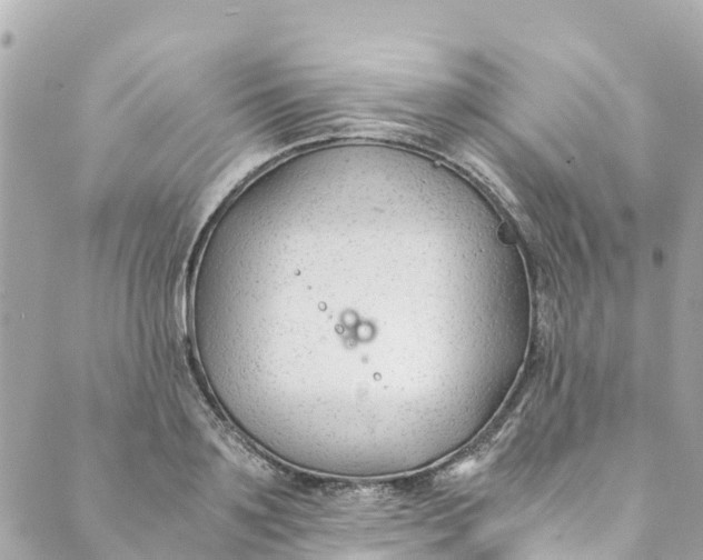 X0000088910891200706291526