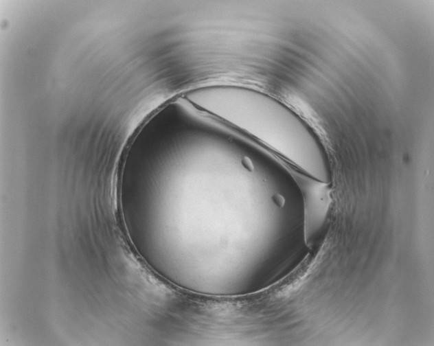 X0000088910892200706291526