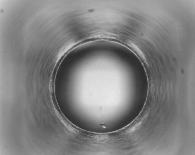 X0000088910893200706291526