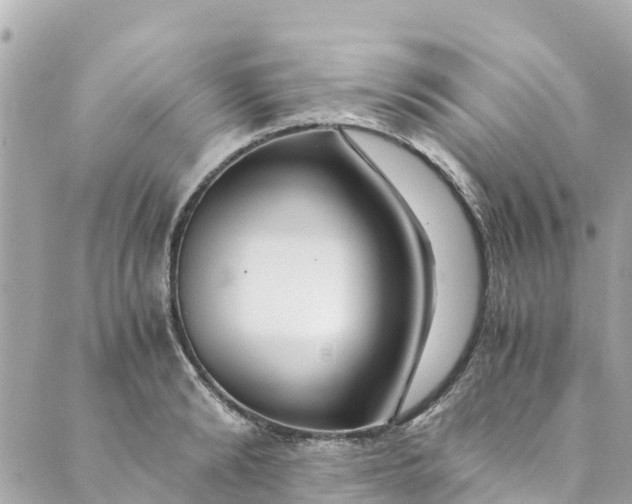 X0000088910894200706291526