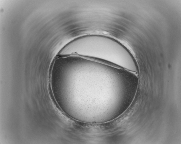 X0000088910895200706291526