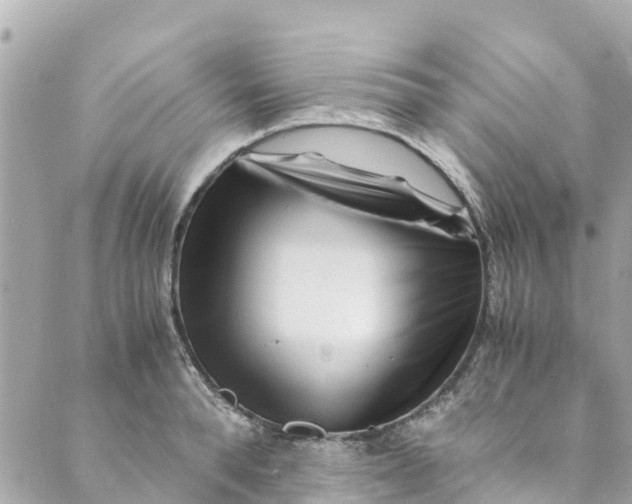 X0000088910896200706291526