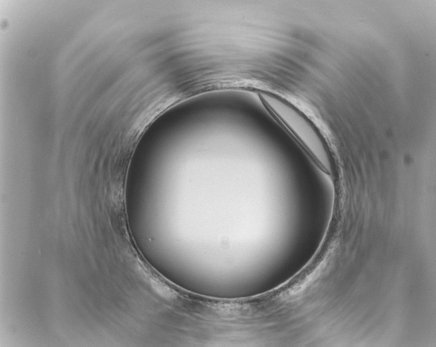 X0000088910897200706291526