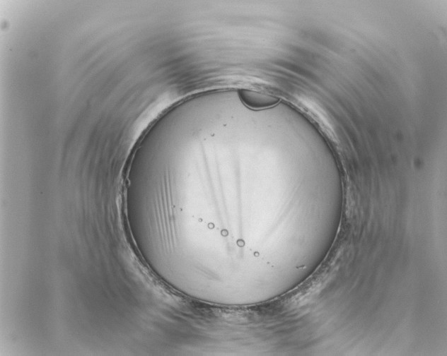 X0000088910899200706291526