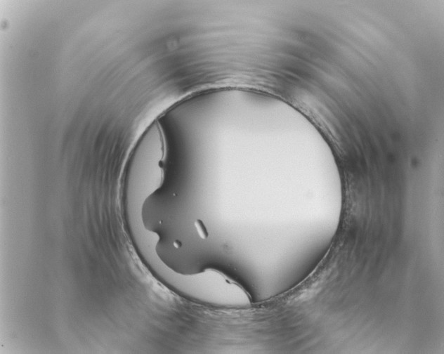 X0000088910900200706291526