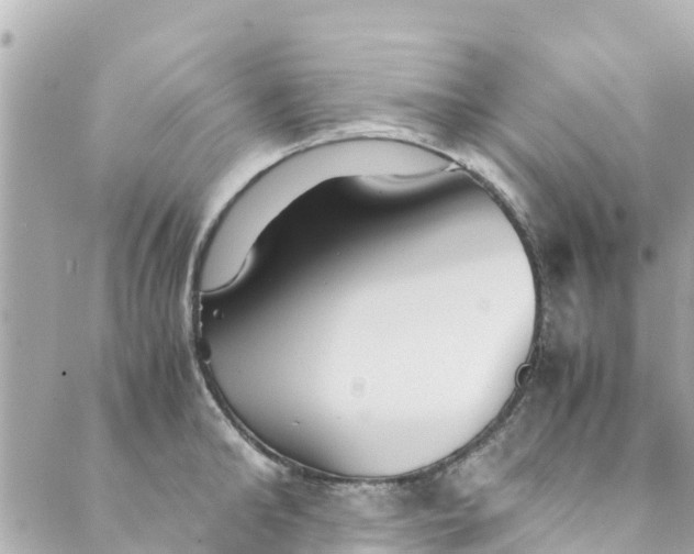 X0000088910902200706291526