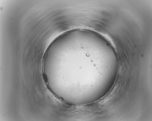 X0000088910903200706291526