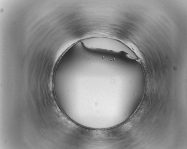 X0000088910904200706291526