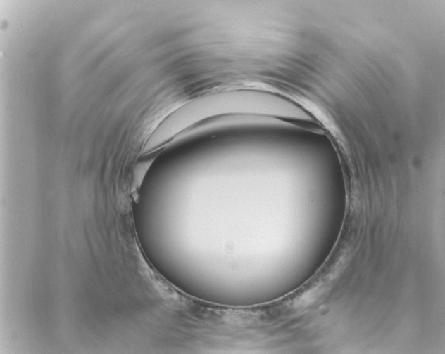 X0000088910905200706291526