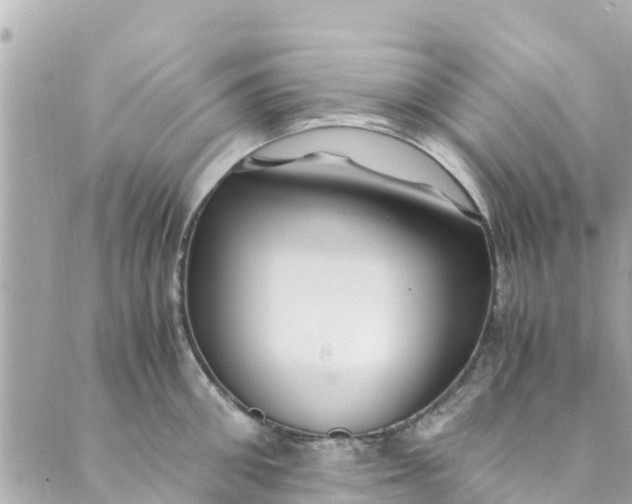 X0000088910906200706291526