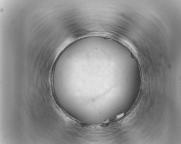 X0000088910907200706291526