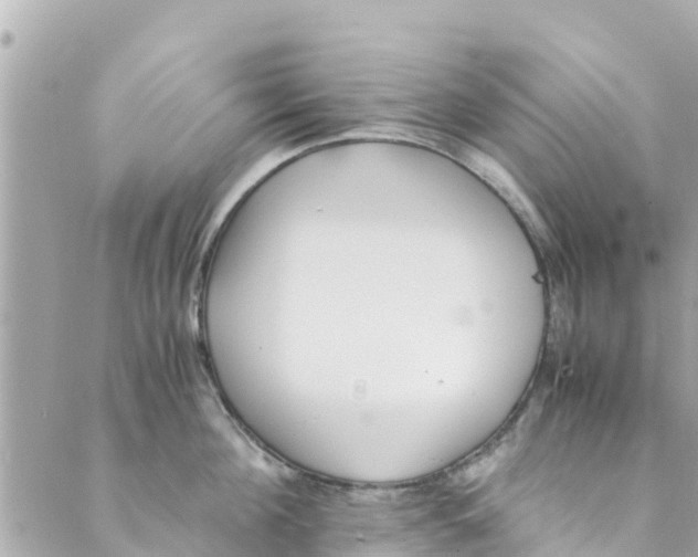 X0000088910908200706291526