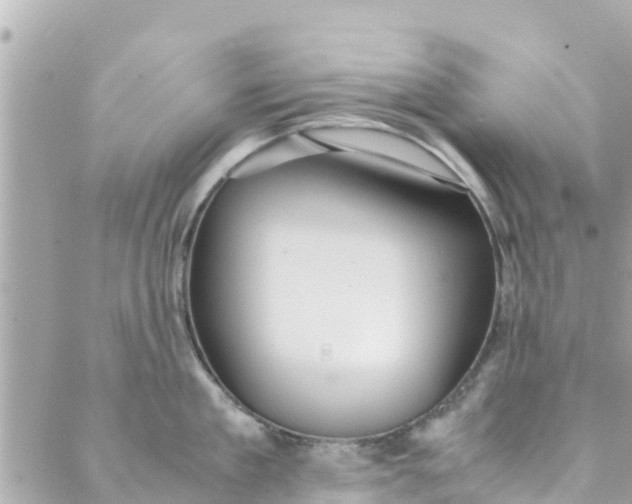 X0000088910909200706291526