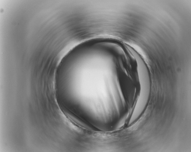 X0000088910910200706291526