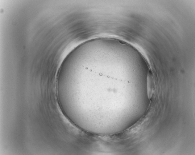 X0000088910911200706291526