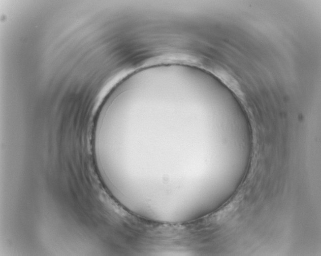 X0000088910912200706291526