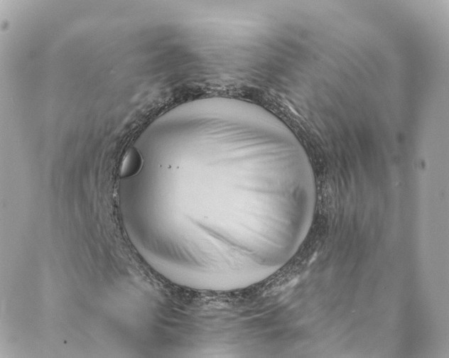 X0000088910913200706291525