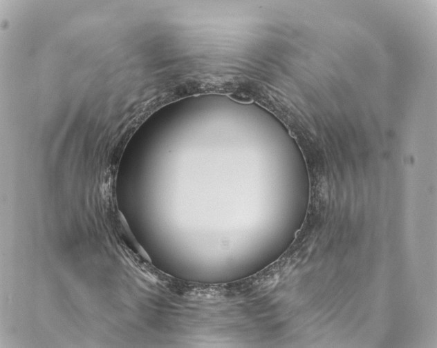 X0000088910914200706291525