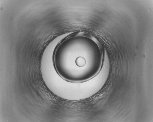 X0000088910916200706291525