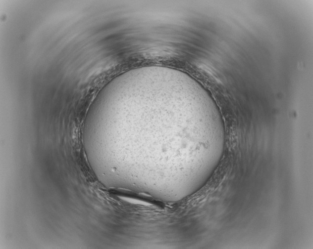 X0000088910917200706291525