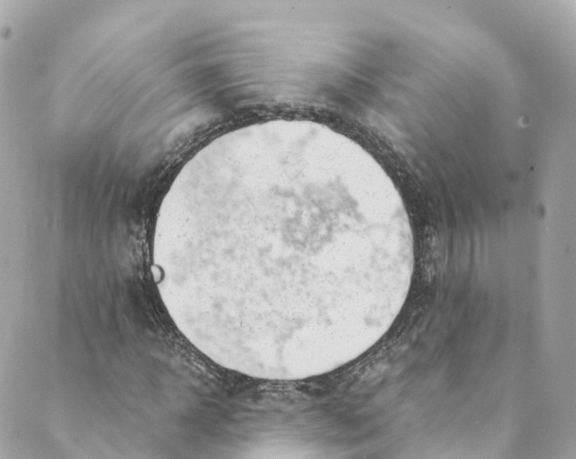 X0000088910918200706291525