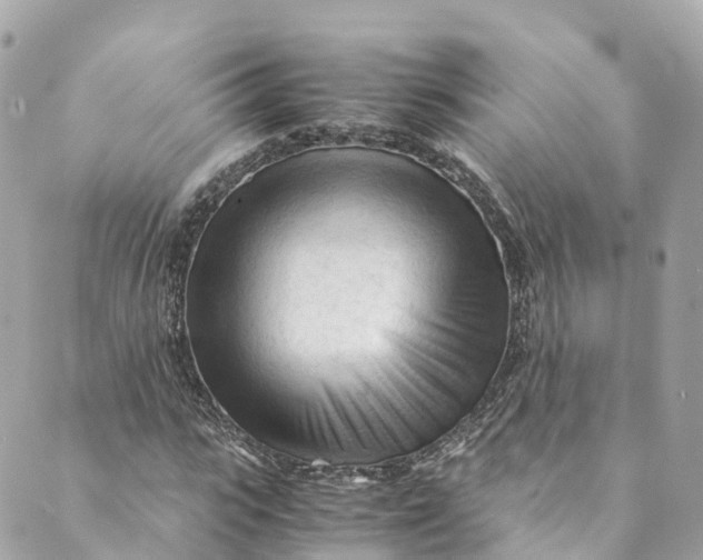 X0000088910919200706291525