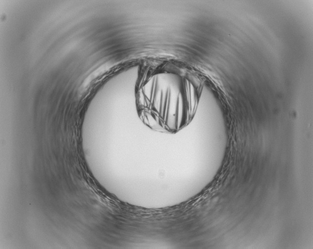 X0000088910920200706291525