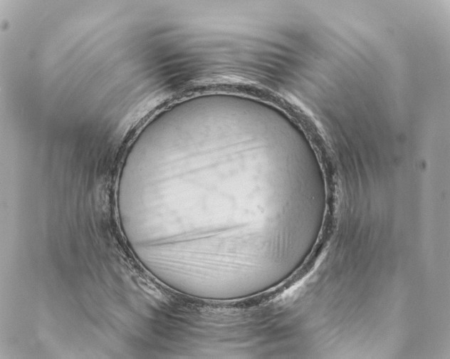 X0000088910921200706291525