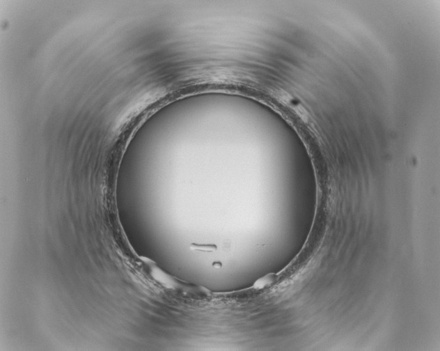 X0000088910922200706291526