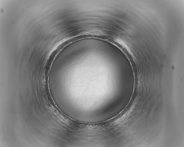 X0000088910923200706291526